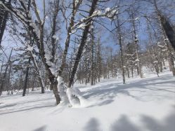 -大秃顶子山