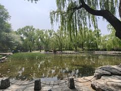 -玲珑塔公园