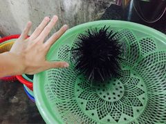 -幸福姐海鲜大排档