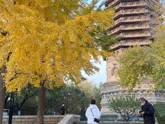 -玲珑塔公园