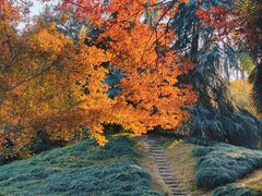 -泰州凤城河风景区-泰山公园