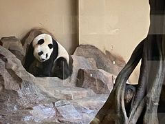 -宁波野生动物园