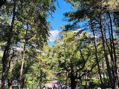 -承德避暑山庄景区