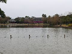 -江心屿景区