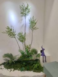 -FUMEIHUI·科技美肤·美体SPA