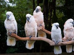 -灵玲国际马戏城