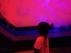 -沈阳海洋探索中心