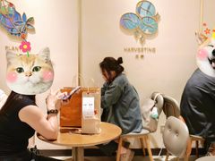 -Tims天好咖啡·贝果(成都东站捷枫店)