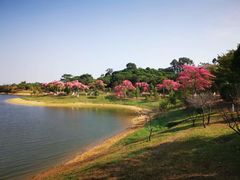 -松山湖南湖湾露营营地