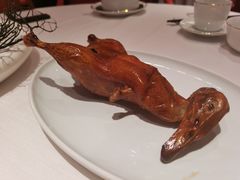 -东富酒家(龙湖西溪天街店)
