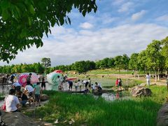 -滆湖低碳生态公园