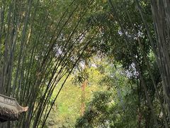 -成都杜甫草堂博物馆