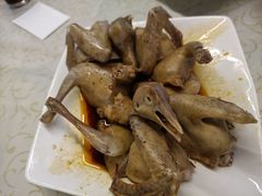 -百利鸽王(紫薇路店)