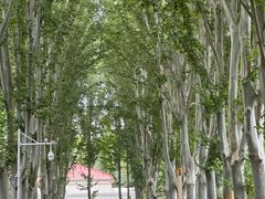 -河南省黄河迎宾馆