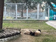 -西安秦岭野生动物园