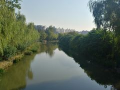 -新江湾城公园