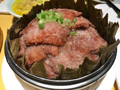 -素虎小呆鸟(西二旗店)