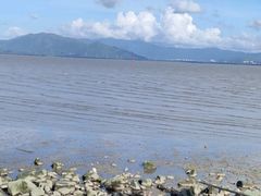 -深圳湾公园(南山区)