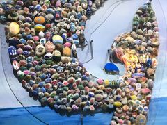 -海合安武汉极地海洋公园