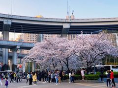 -南浦大桥长途旅游客运站