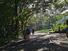 -白云山风景名胜区