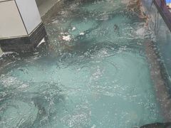 -鱼痴渔醉·食鲜集(月亮湾店)