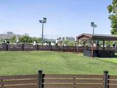 -银涛高尔夫练习场(徐泾店)