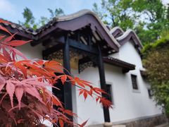 -岳麓书院