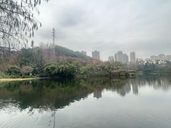 -重庆彩云湖湿地公园