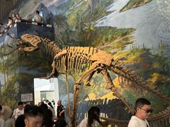 -自贡恐龙博物馆