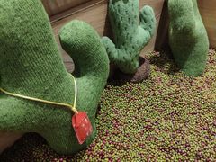 -炖物24章·顺时轻养茶(杭州保利时光里店)