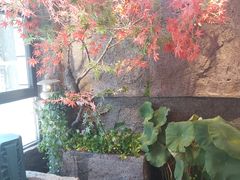 -韩烧牛中牛·甄选黑牛烤肉(黑金店)