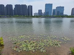 -金沙湖公园