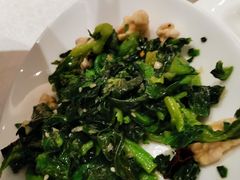 巧拌山野菜-大铁勺新津菜(东丽阳光新业广场店)