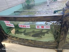 -楚鱼王·河鲜·湖北菜(华农店)