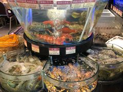 -陶陶居海鲜酒家(新马路店)