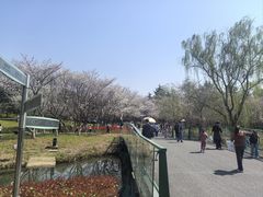 -白塘生态植物园