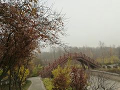 -洛阳市隋唐城遗址植物园
