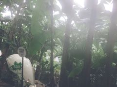 -100蛋泥浆浴