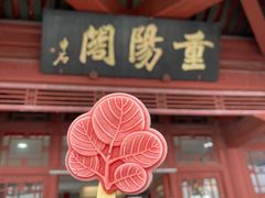 -香山公园