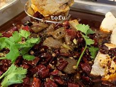 -鱼乐乐(Happy Fish)