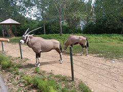 -大连森林动物园