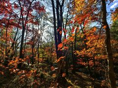 -本溪老边沟风景区