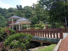 -火炉山森林公园