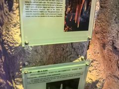 -房山世界地质公园博物馆