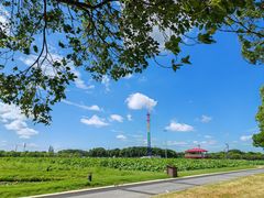 -嘉北郊野公园
