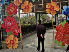-成飞公园