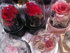 -谷莠子花艺·气球派对·绿植造景·花艺沙龙(金光华广场店)