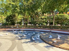 -南宫五洲植物乐园