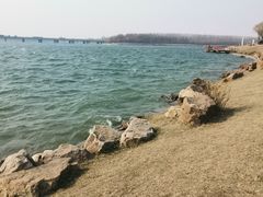 -丁香湖公园